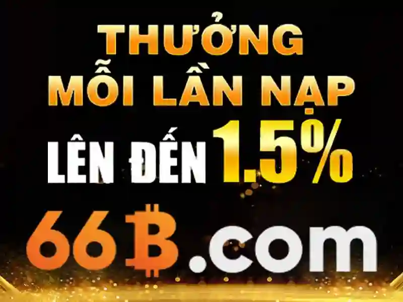 Trải nghiệm người dùng và phản hồi từ cộng đồng