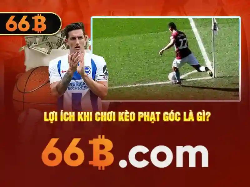 Tiềm năng thị trường của 66b