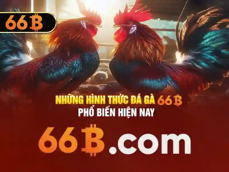 Hiệu suất và so sánh
