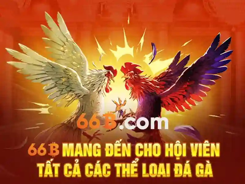 66b nguyễn sĩ sách – hành trình thương hiệu và trải nghiệm Giao diện nhà cái hoàn hảo