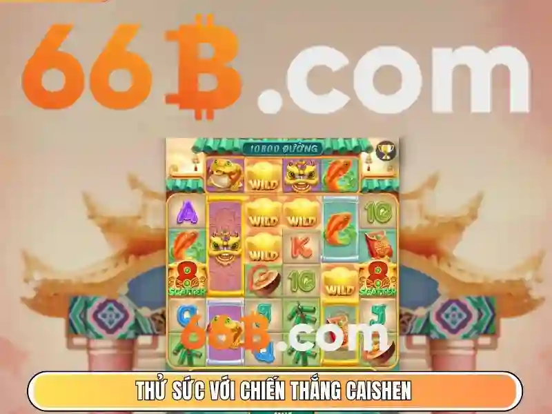 66b là gì