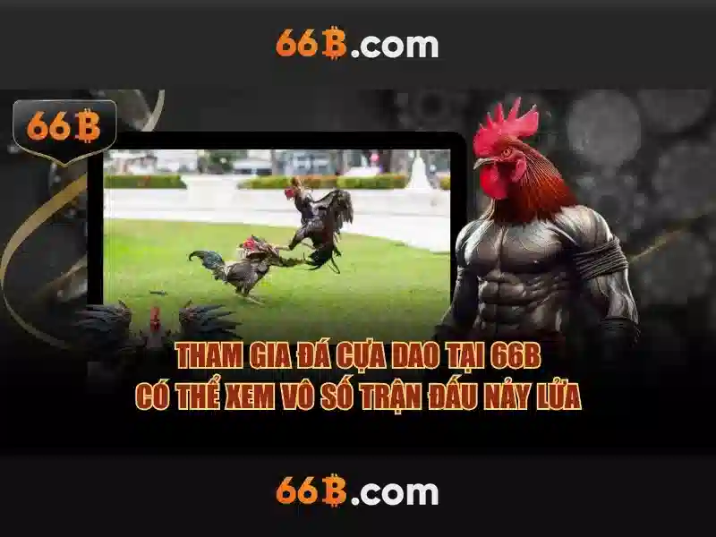 66b là gì?