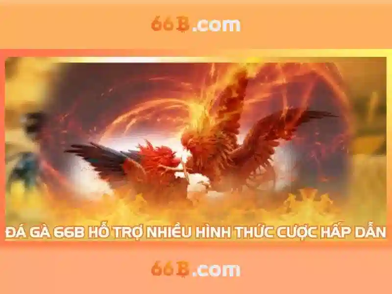 66b nguyễn sỹ sách p15 q tân bình – Tổng quan chủ đề và giá trị cốt lõi