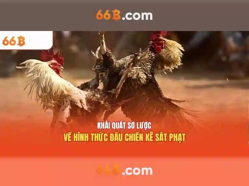 Ứng dụng và thách thức của 66B