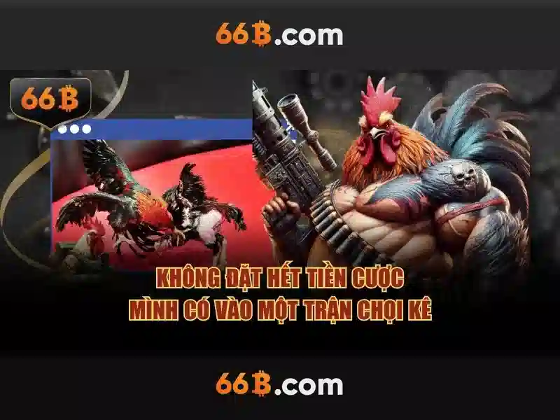 Giao diện nhà cái hoàn hảo