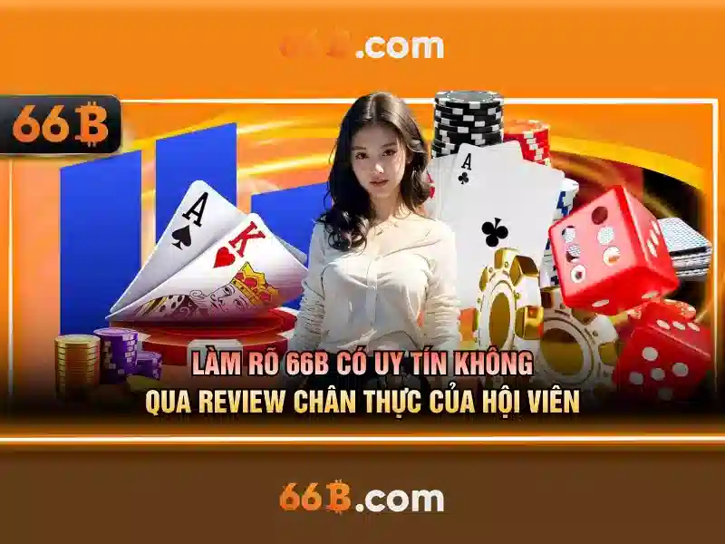 66b bus route – Tổng quan chủ đề và giá trị cốt lõi