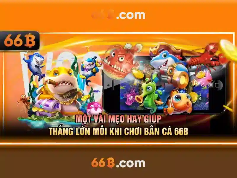 Ví dụ thực tế về 66b