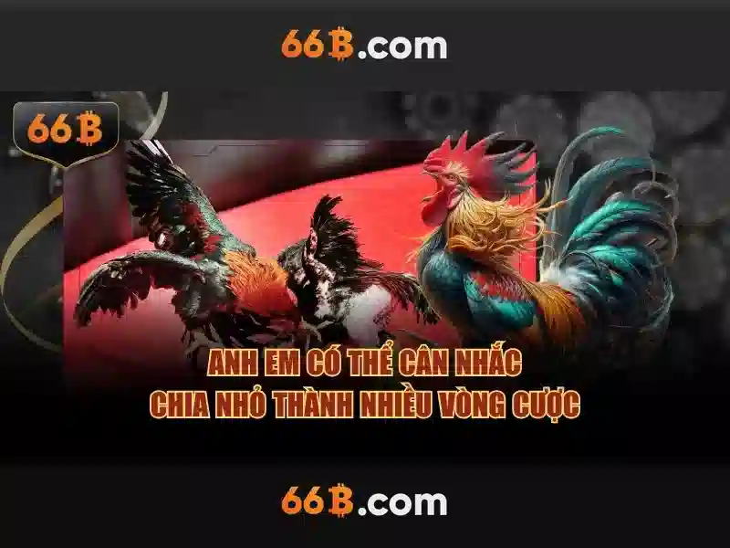 Giao diện nhà cái hoàn hảo