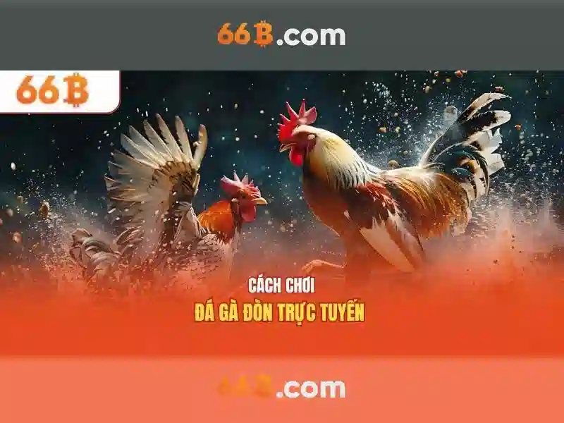 Nguồn gốc và ý nghĩa của 66b