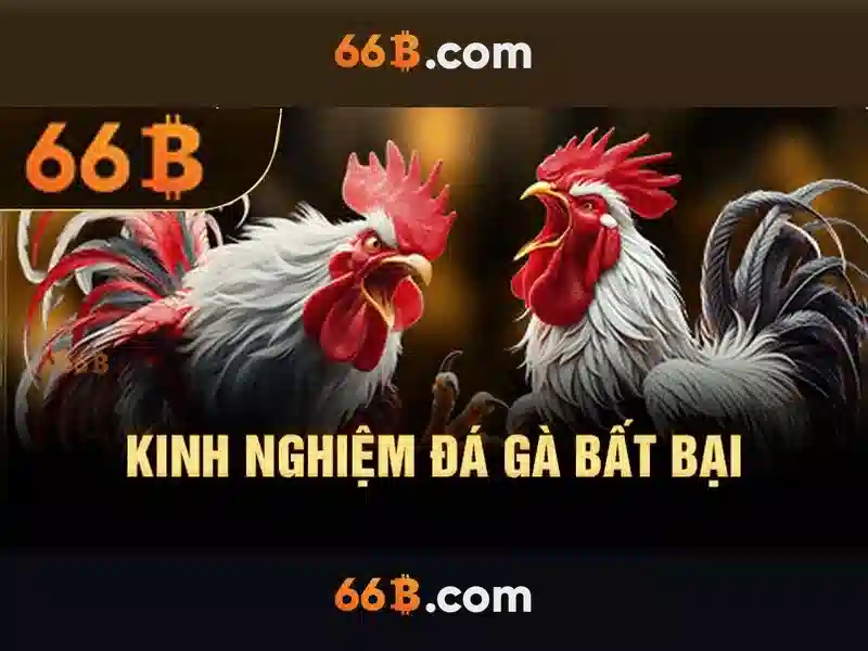 Giao diện nhà cái hoàn hảo