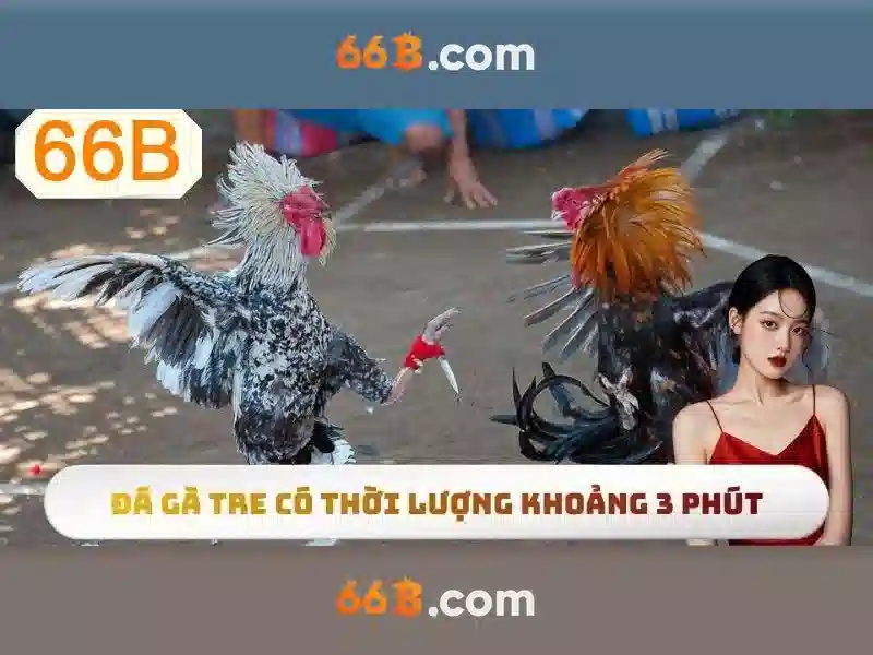 66B: Mô hình ngôn ngữ lớn và những ảnh hưởng của nó Giao diện nhà cái hoàn hảo