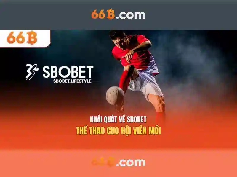 Giới thiệu về 66B