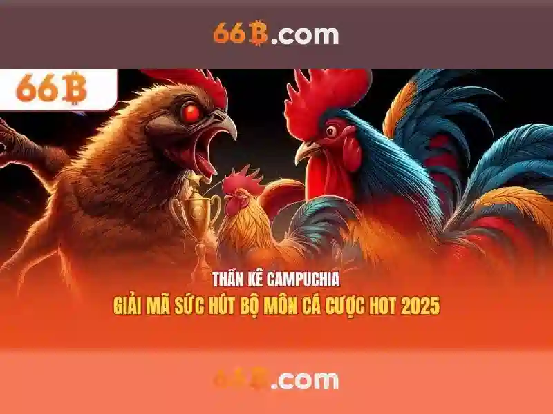 Giao diện nhà cái hoàn hảo