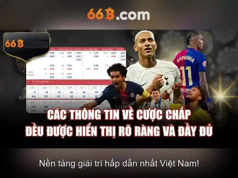 Tính năng và giới hạn