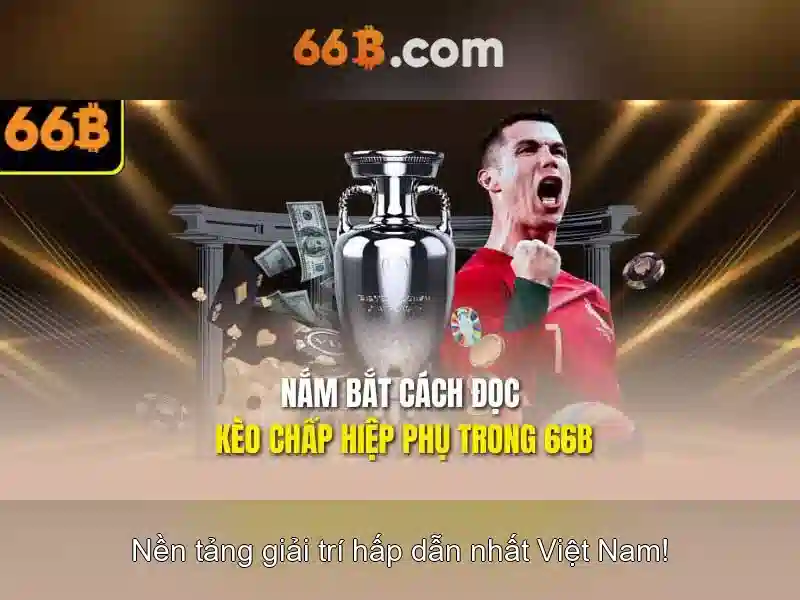 Khai niem 66b