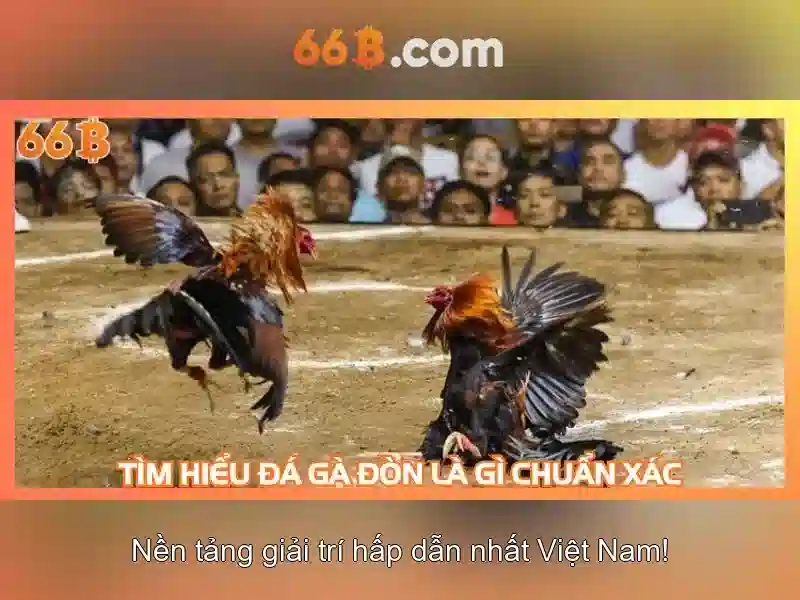 Giao diện nhà cái hoàn hảo