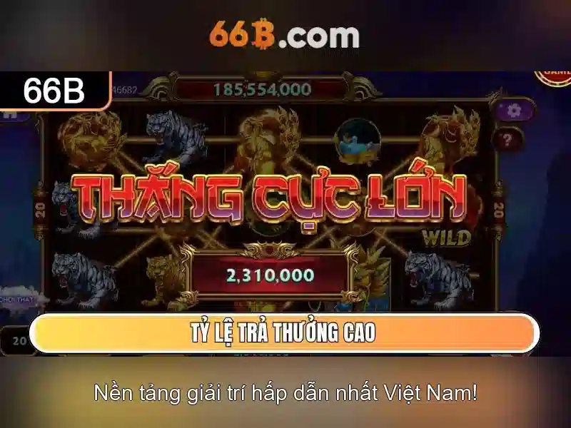 66b và nhiều ý nghĩa của nó