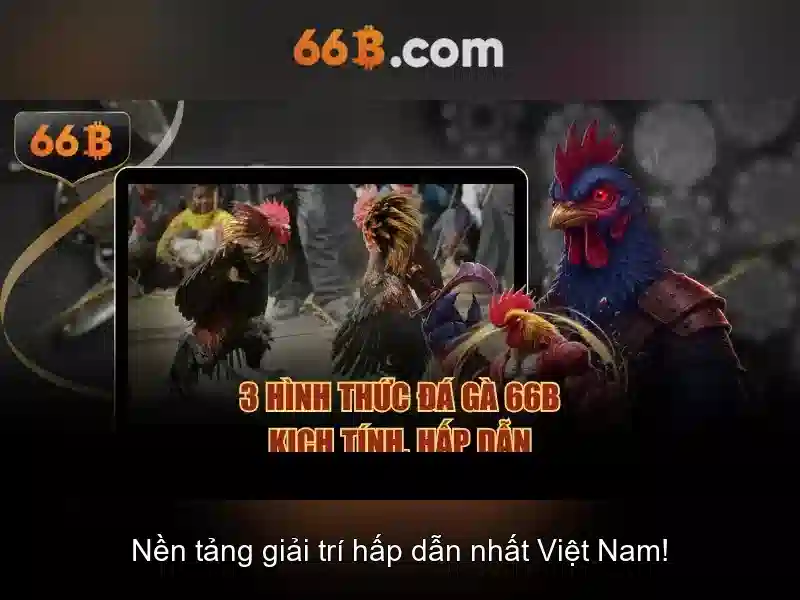 66b nguyễn sỹ sách tân bình – Tổng quan chủ đề và giá trị cốt lõi