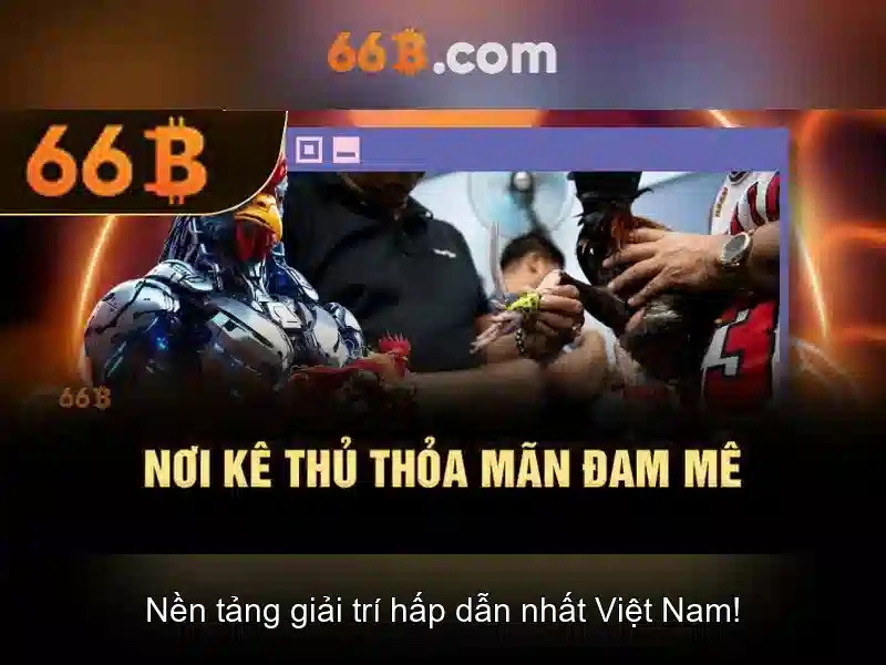 66b và nhiều ý nghĩa của nó trong công nghệ và văn hóa số Giao diện nhà cái hoàn hảo