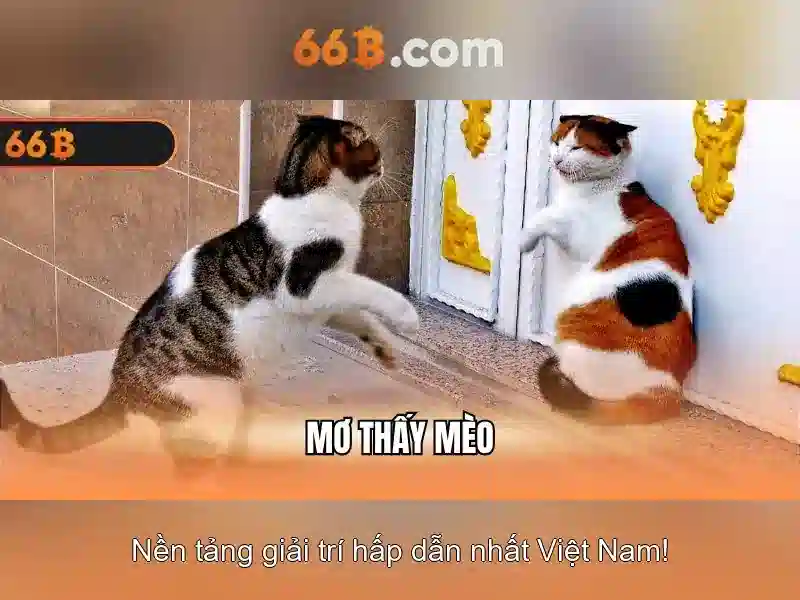 Ứng dụng tiềm năng