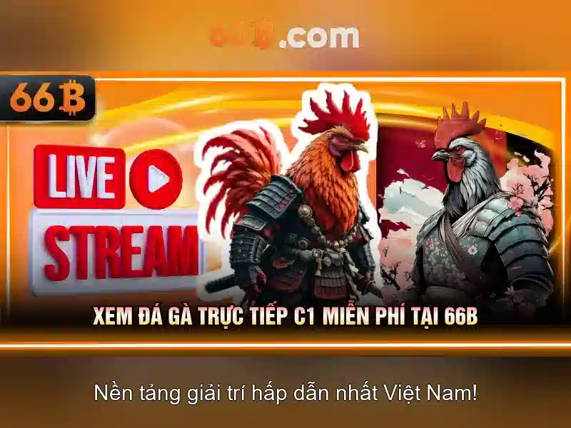 Những thách thức và tương lai