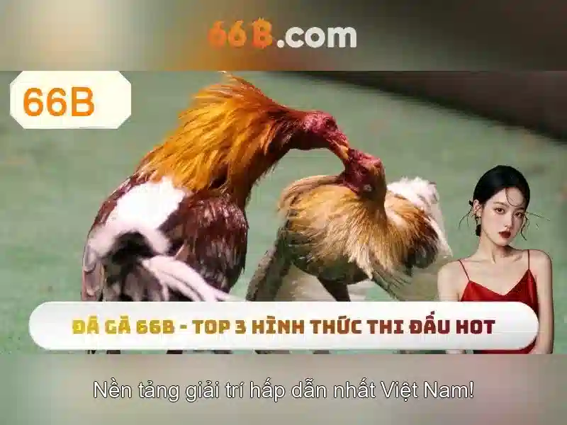 Ứng dụng và hiệu suất