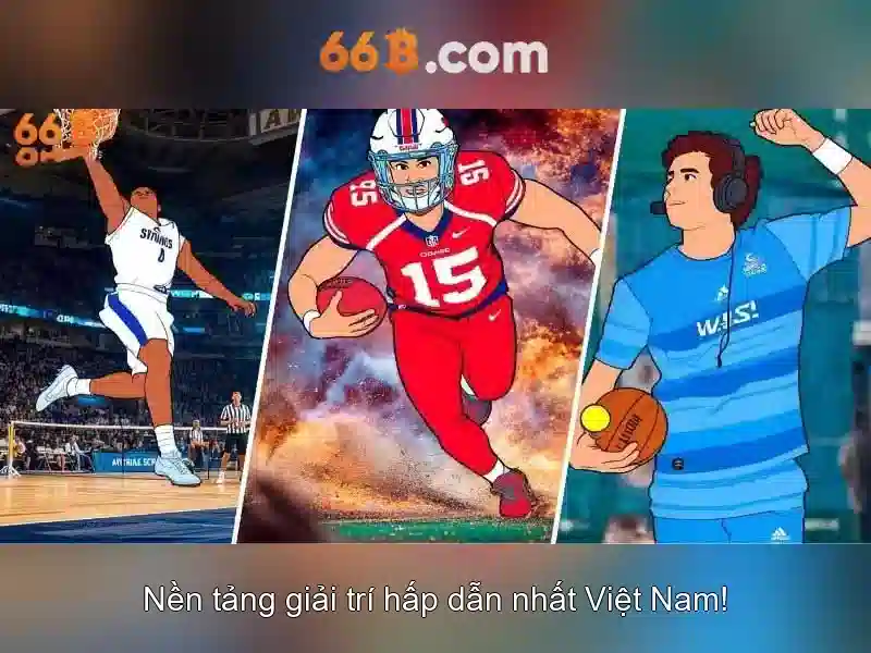 66B là gì?