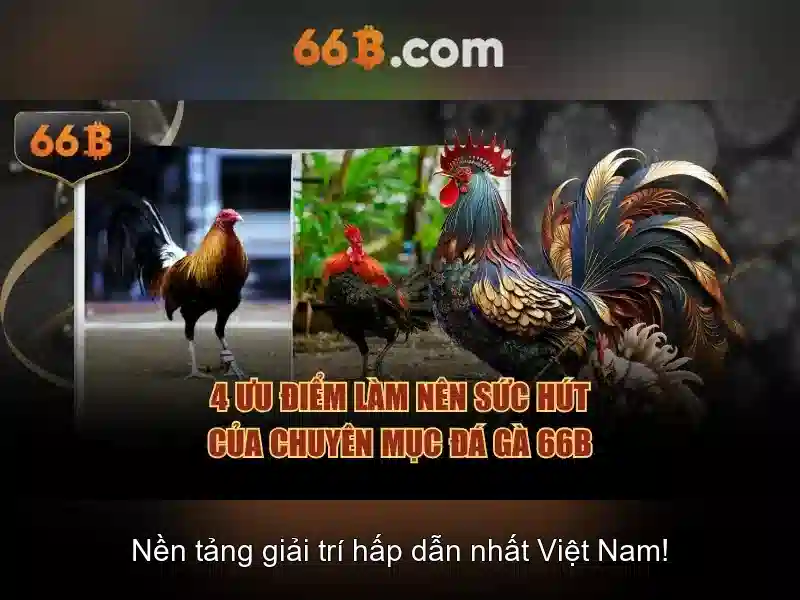 Giới thiệu về 66b