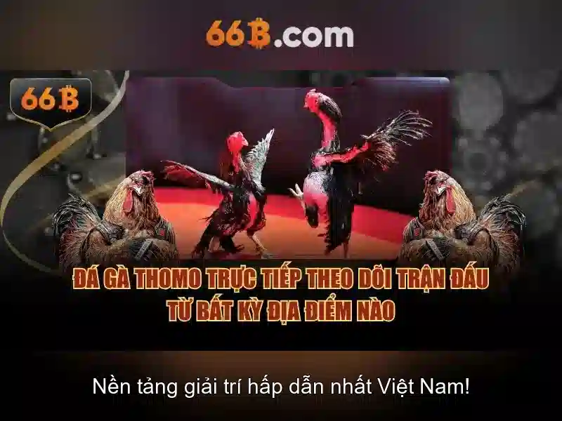 Khả năng ngôn ngữ và ứng dụng