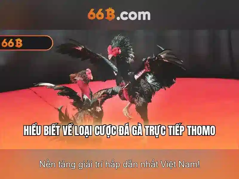 Khám phá mô hình 66b Giao diện nhà cái hoàn hảo