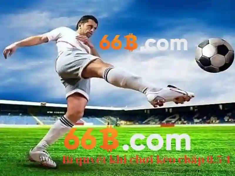 66b: tổng quan và tiềm năng Giao diện nhà cái hoàn hảo