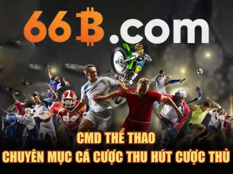 66b là gì?