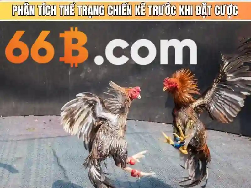 Tổng quan từ khóa