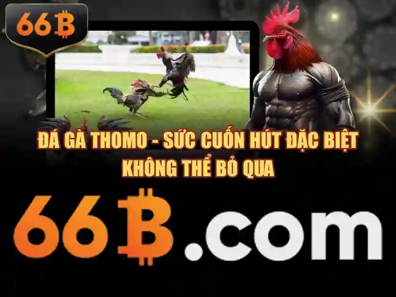 Giới thiệu về 66b