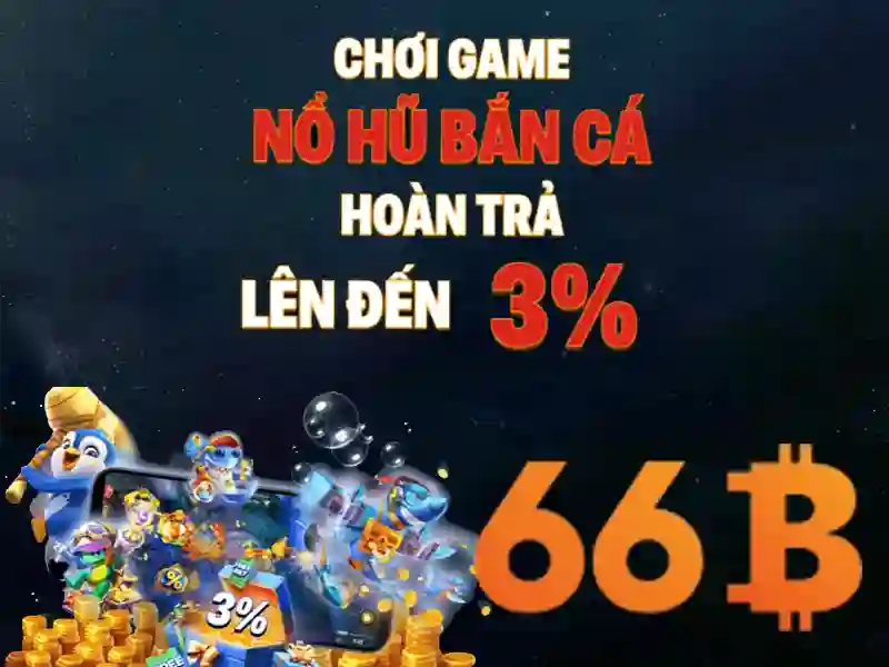  dublin bus 66b – Tổng quan chủ đề và giá trị cốt lõi