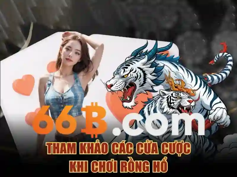 Khái quát về 66b