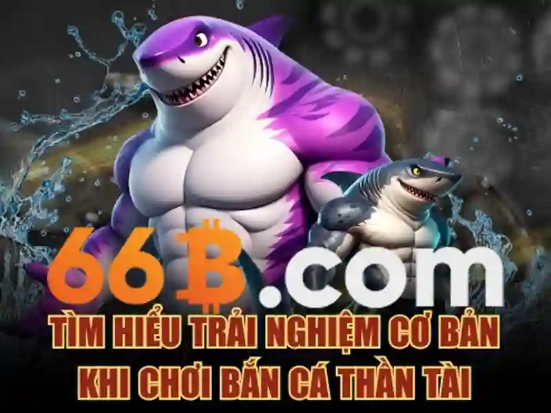 Sản phẩm và dịch vụ cốt lõi liên quan đến 66b nguyễn sỹ sách p15 q tân bình