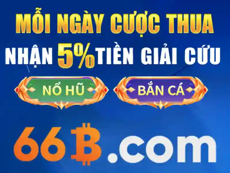 link 66b – Trải nghiệm người dùng và phản hồi từ cộng đồng