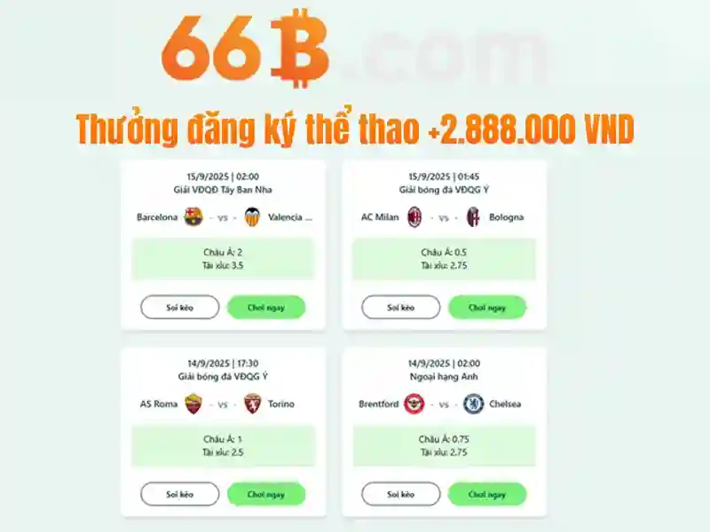 code 66b – Chủ đề tổng quan và giá trị cốt lõi