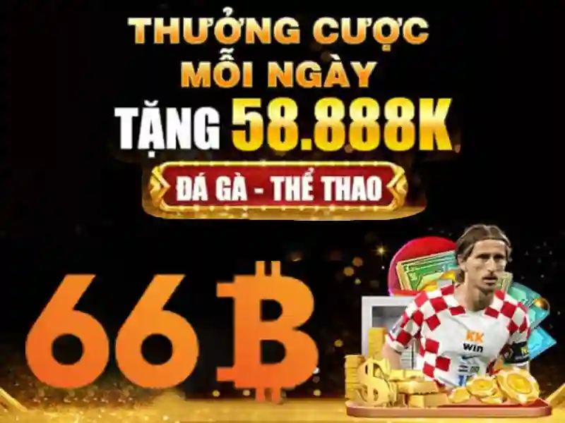 Trải nghiệm người dùng và phản hồi từ cộng đồng