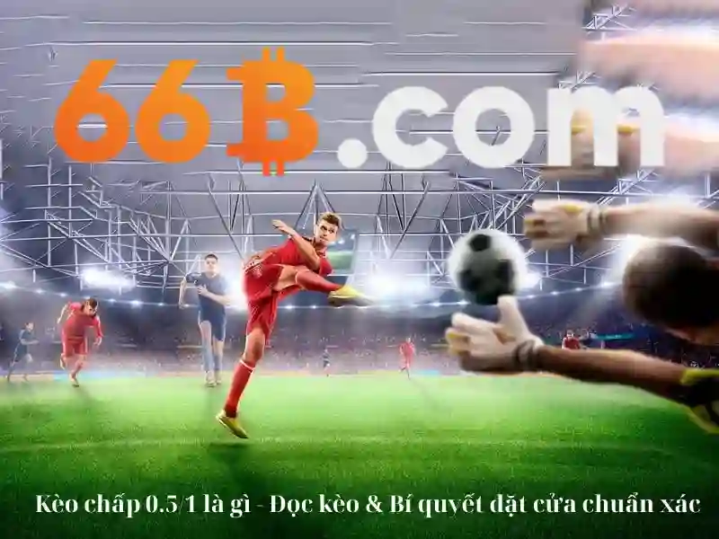 Huong dan cac buoc dat cuoc xo so don gian tai nha cai 66b